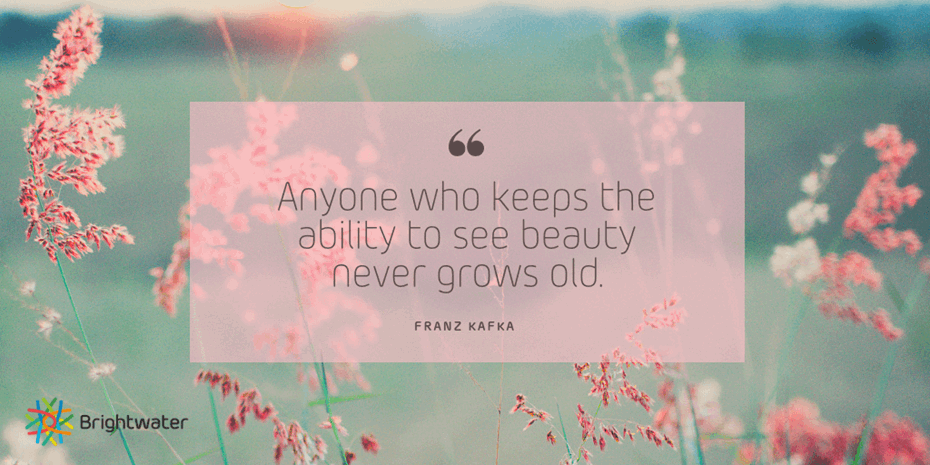 Positive Ageing Quotes Franz Kafka