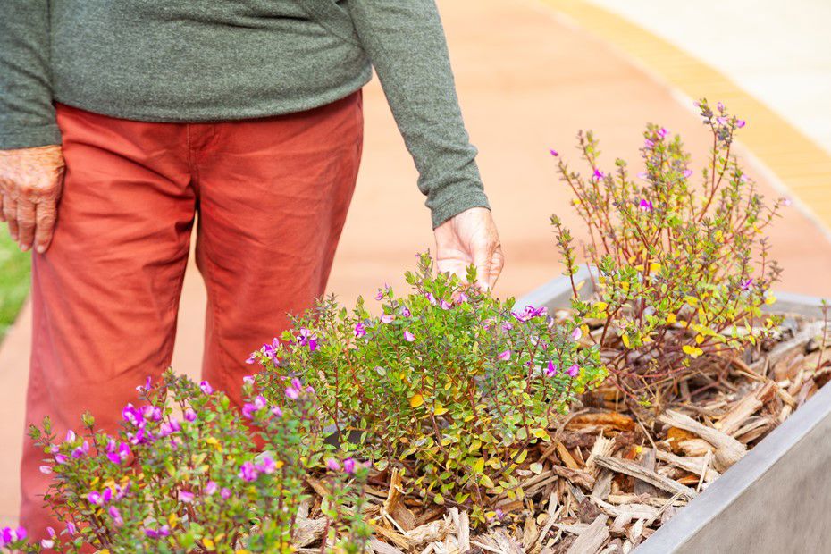 Sensory Garden at Piara Waters