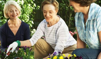 Respite Care Is Good For Carers And Their Loved Ones